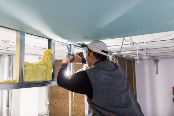 Insulation Inspection Services in Oglesby, IL