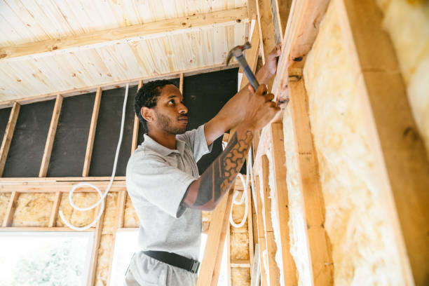 Best Fiberglass Insulation  in Oglesby, IL